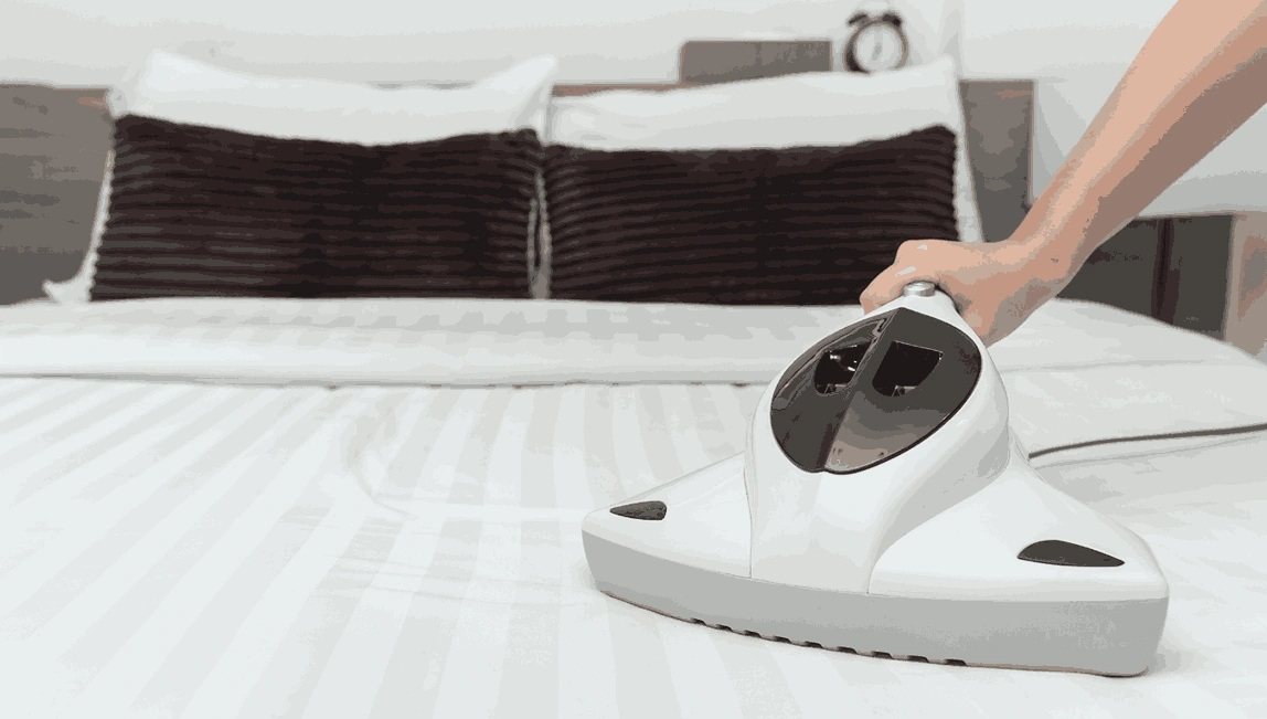 Professional Mattress Cleaning Castella